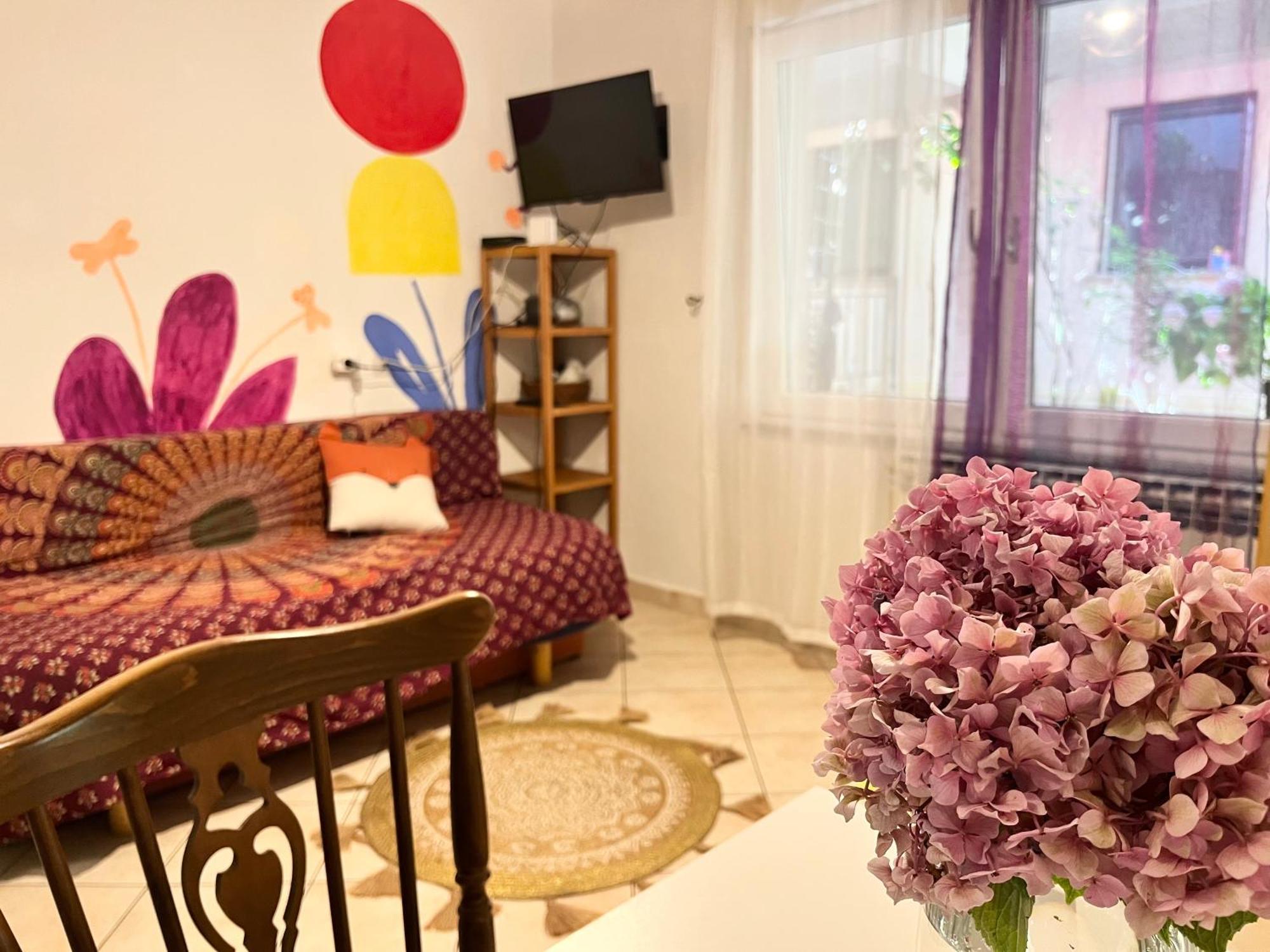 Veronika'S House 普拉 外观 照片